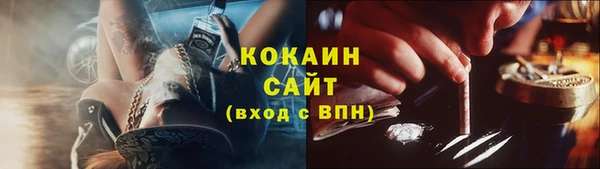 стаф Ельня