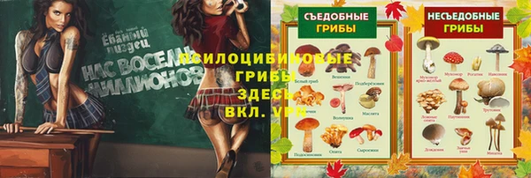 прущая мука Армянск